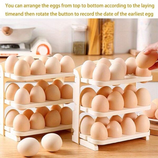 Folding  Egg Organiser Tray (24 Eggs) - Image 3