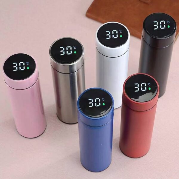 Temperature Bottle (Mix Color) - Image 2
