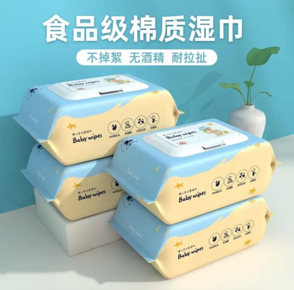 Baby Wet Wipes (Imported)