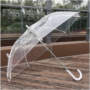 Transparent Umbrella (Imported)