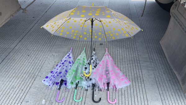 TRANSPARENT DOTED UMBRELLA ☔